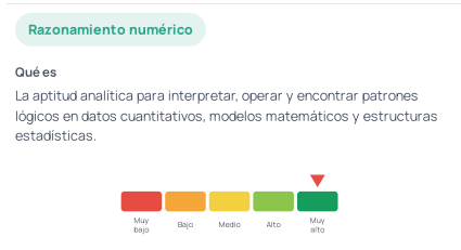 Ejemplo del detalle de una capacidad con su escala de cinco niveles