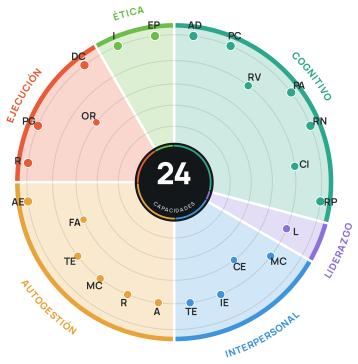 Ejemplo del mapa de las 24 capacidades agrupadas en seis factores